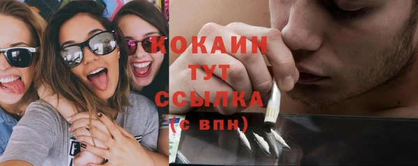 твердый Пестово