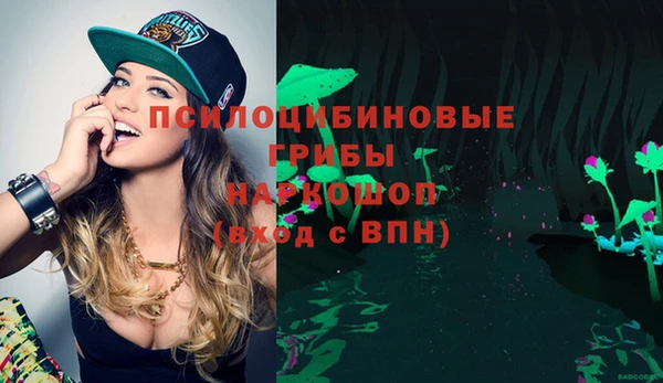 меф Пересвет