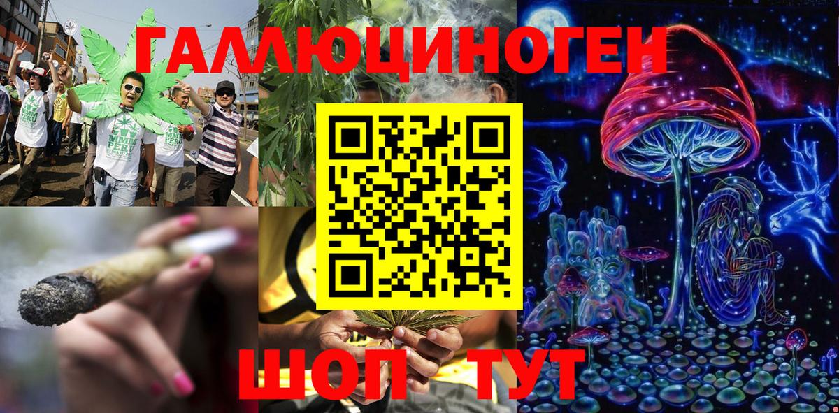 Галлюциногенные грибы мухоморы  Алушта 