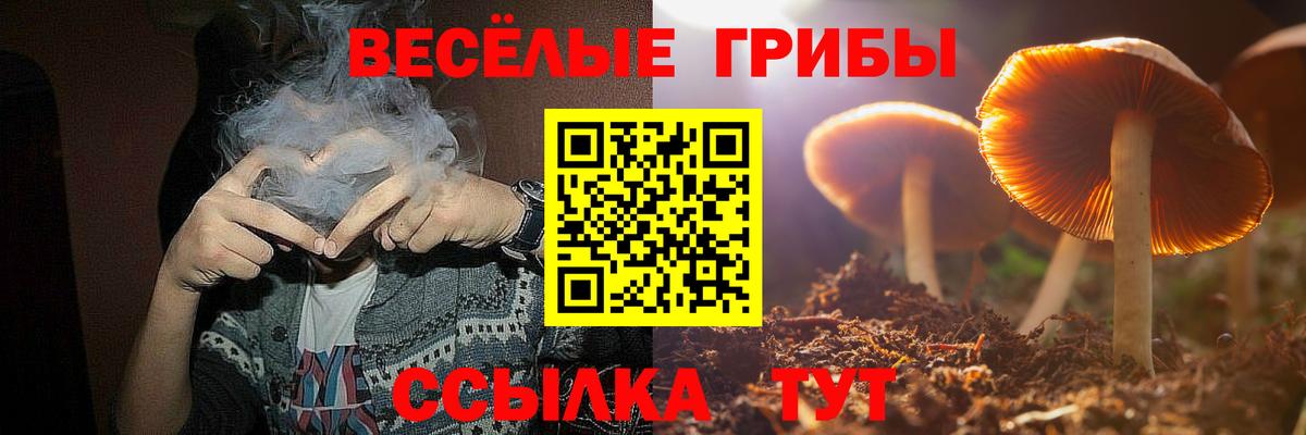 Алушта  Галлюциногенные грибы GOLDEN TEACHER  Галлюциногенные грибы Psilocybine cubensis  закладка  Вход с VPN 
